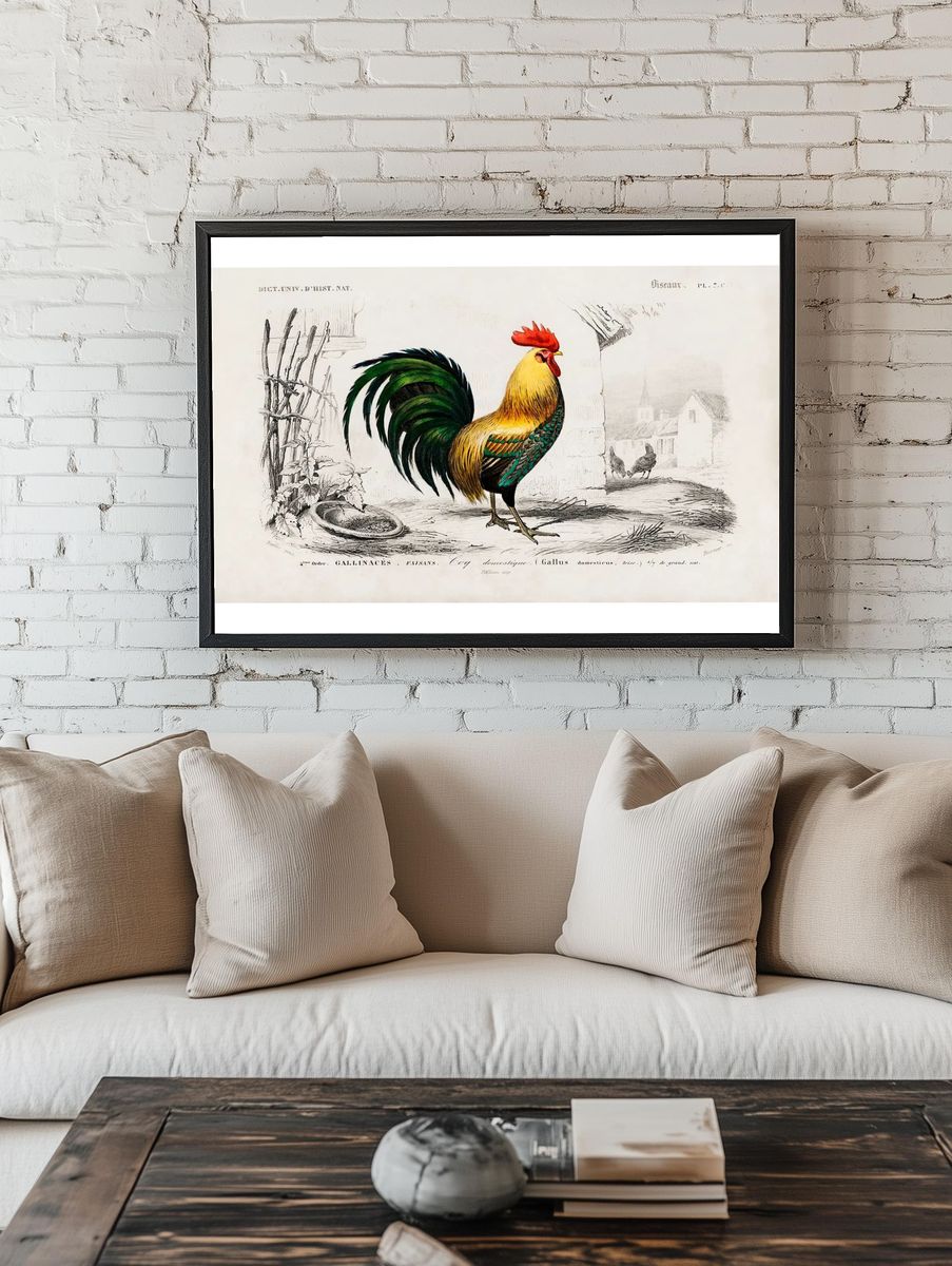 Cock illustrated Charles Dessalines D' room preview