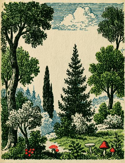 Forest Meadow Vintage Print. poster