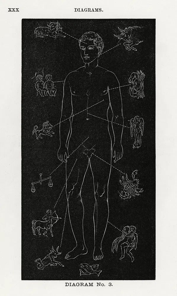 Diagram no.3 print high resolution. poster detail