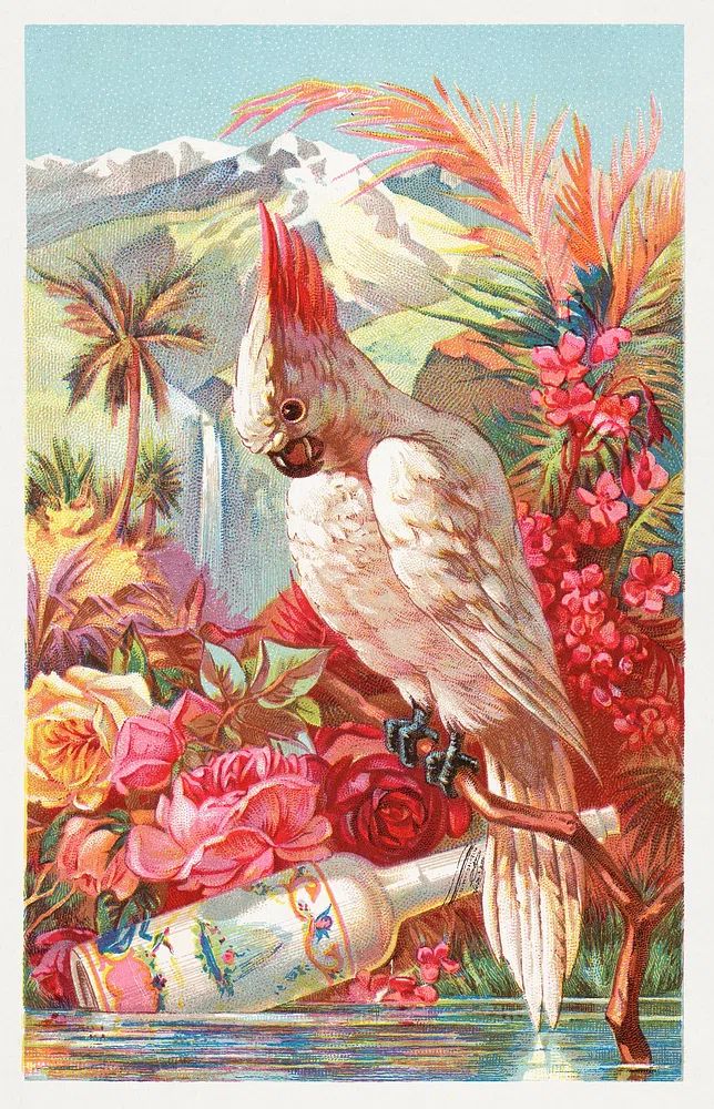 Florida Water, Murray & Lanman. poster detail
