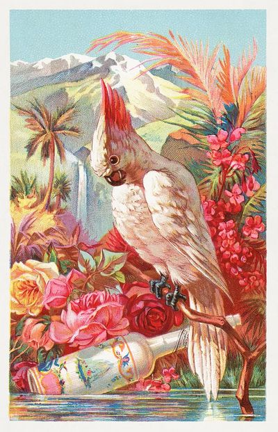 Florida Water, Murray & Lanman. poster