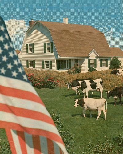 American Farmhouse Cows Vintage Poster. poster print