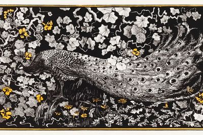Peacock and Ivy — Vintage Print. poster print
