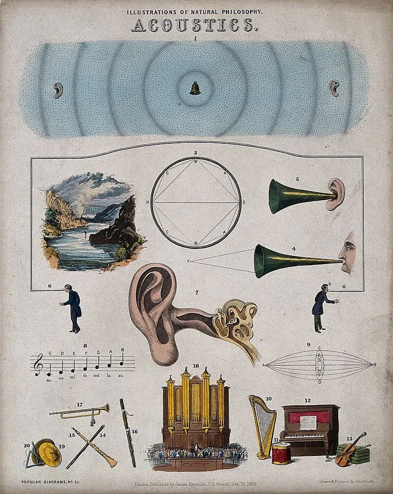 Acoustics — Vintage Print. poster — vintage art