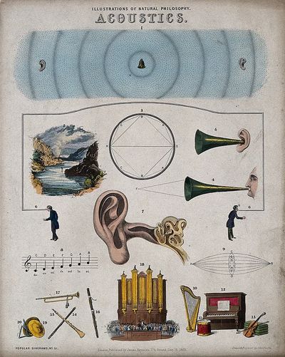 Acoustics — Vintage Print