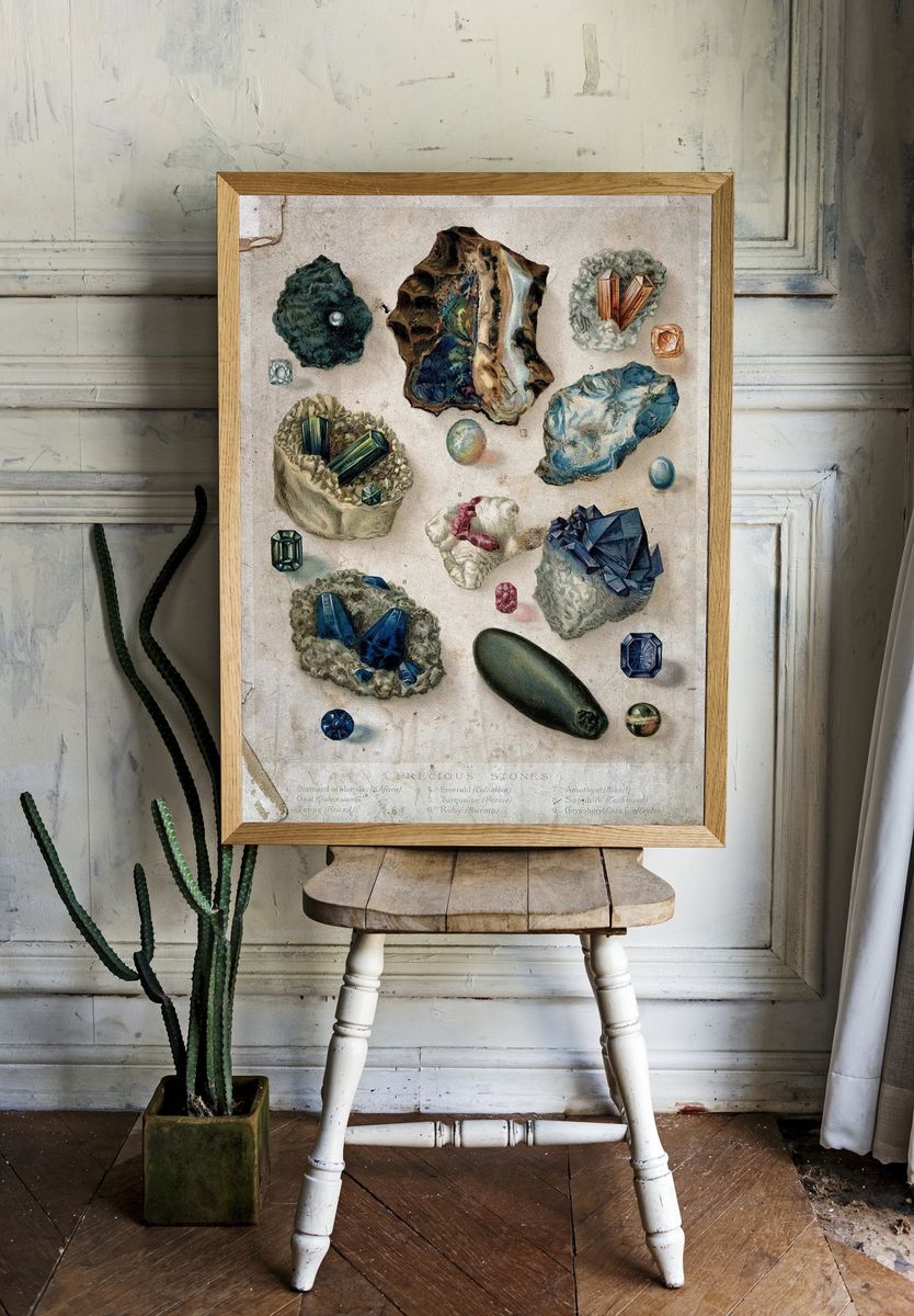 Precious Stones — Vintage Print room preview