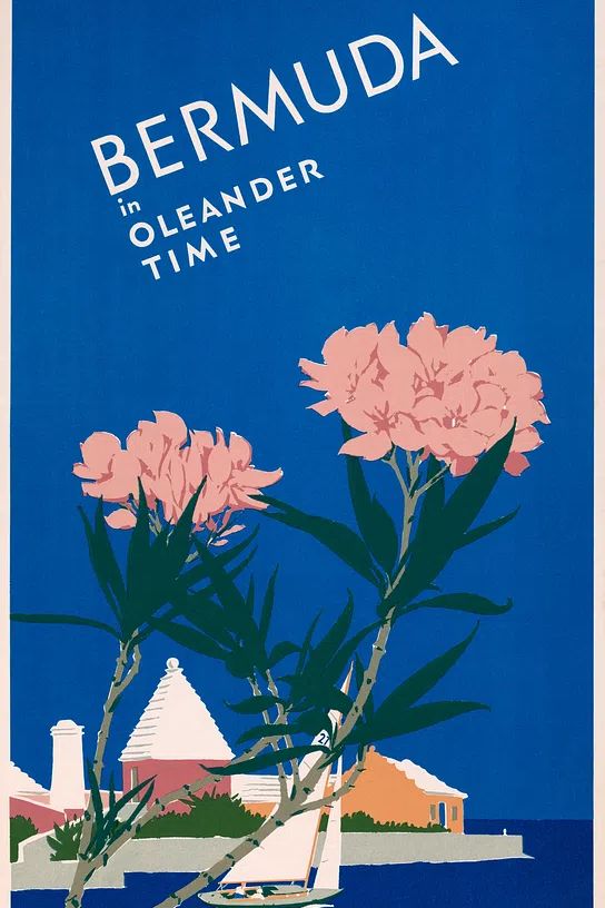 Bermuda oleander time (1952) Adolph. poster detail