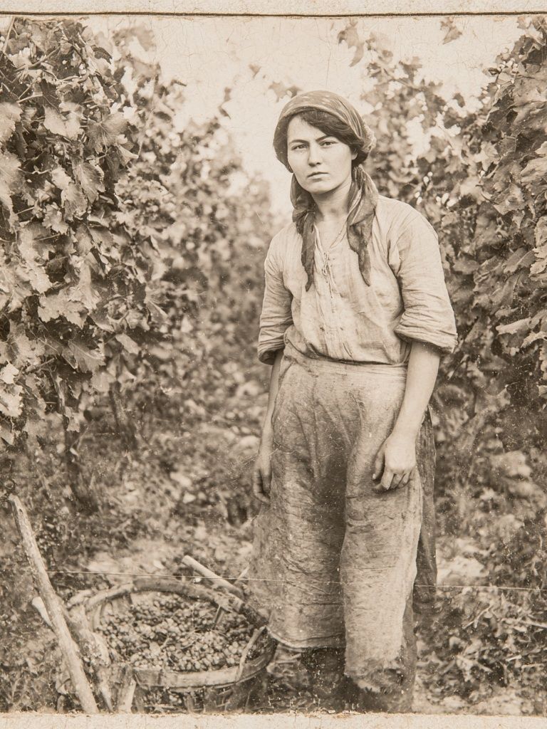 Vintage Vineyard Worker Portrait Print. poster — photography art