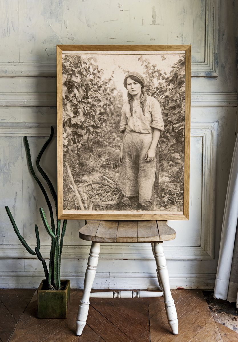 Vintage Vineyard Worker Portrait Print. — room view 1