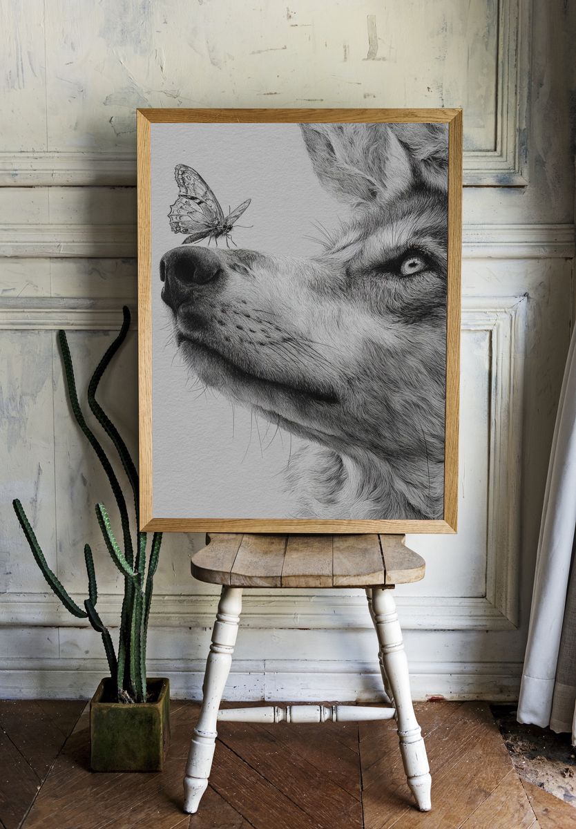 Wolf and Butterfly — Illustration Print. room preview