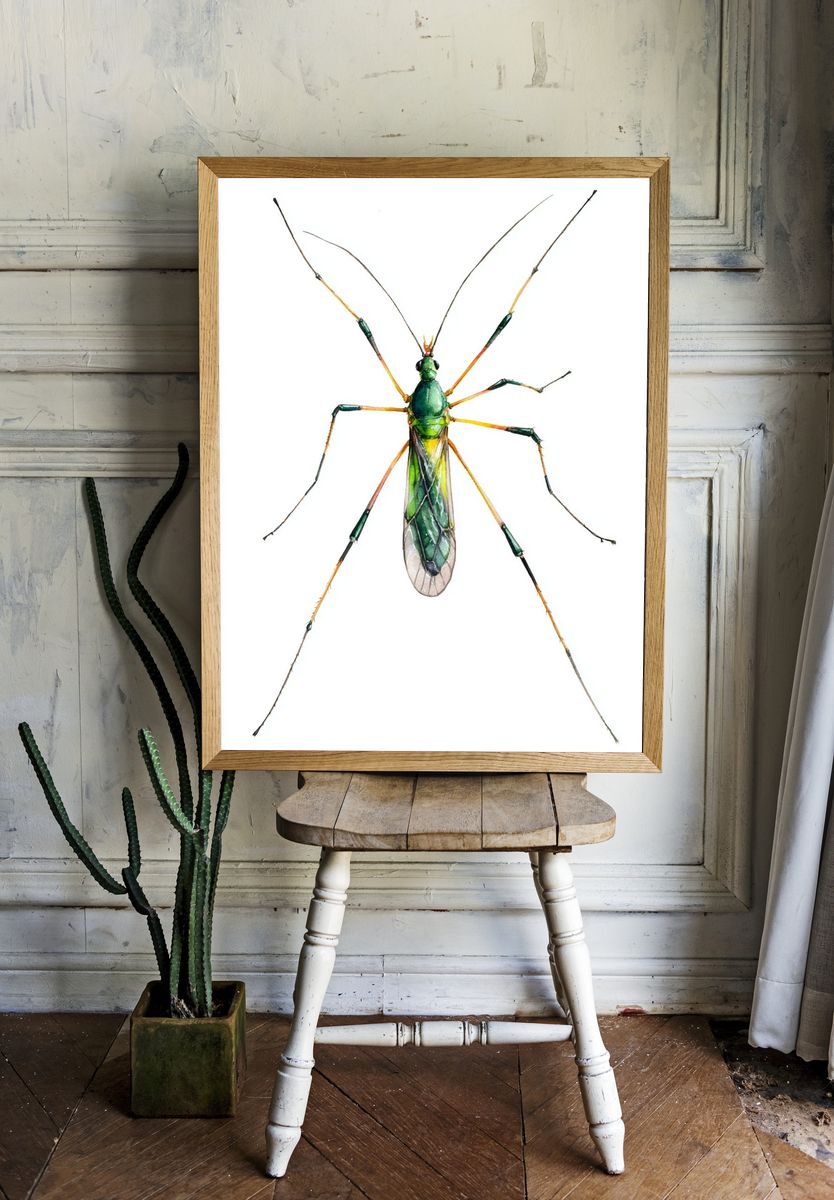 Green Mosquito — Watercolor Print. room preview