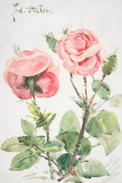 Pink Roses — Watercolor Print. poster print