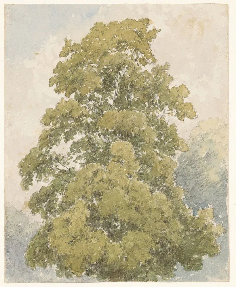 Lush Green Tree — Watercolor Print. poster detail