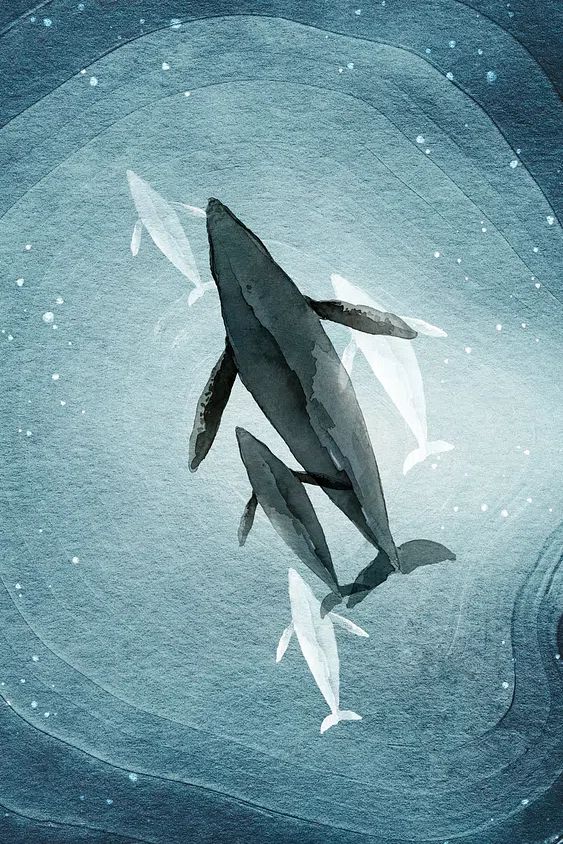 Whales in Deep Blue — Watercolor Print. poster detail