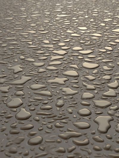 Water Droplets on Surface — Photography Print. poster print