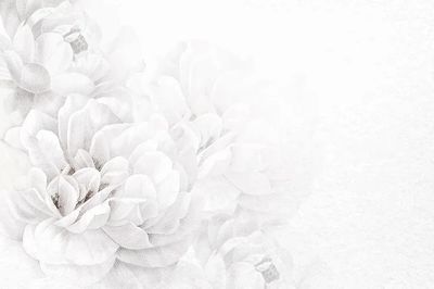 White Floral Watercolor Poster. poster print