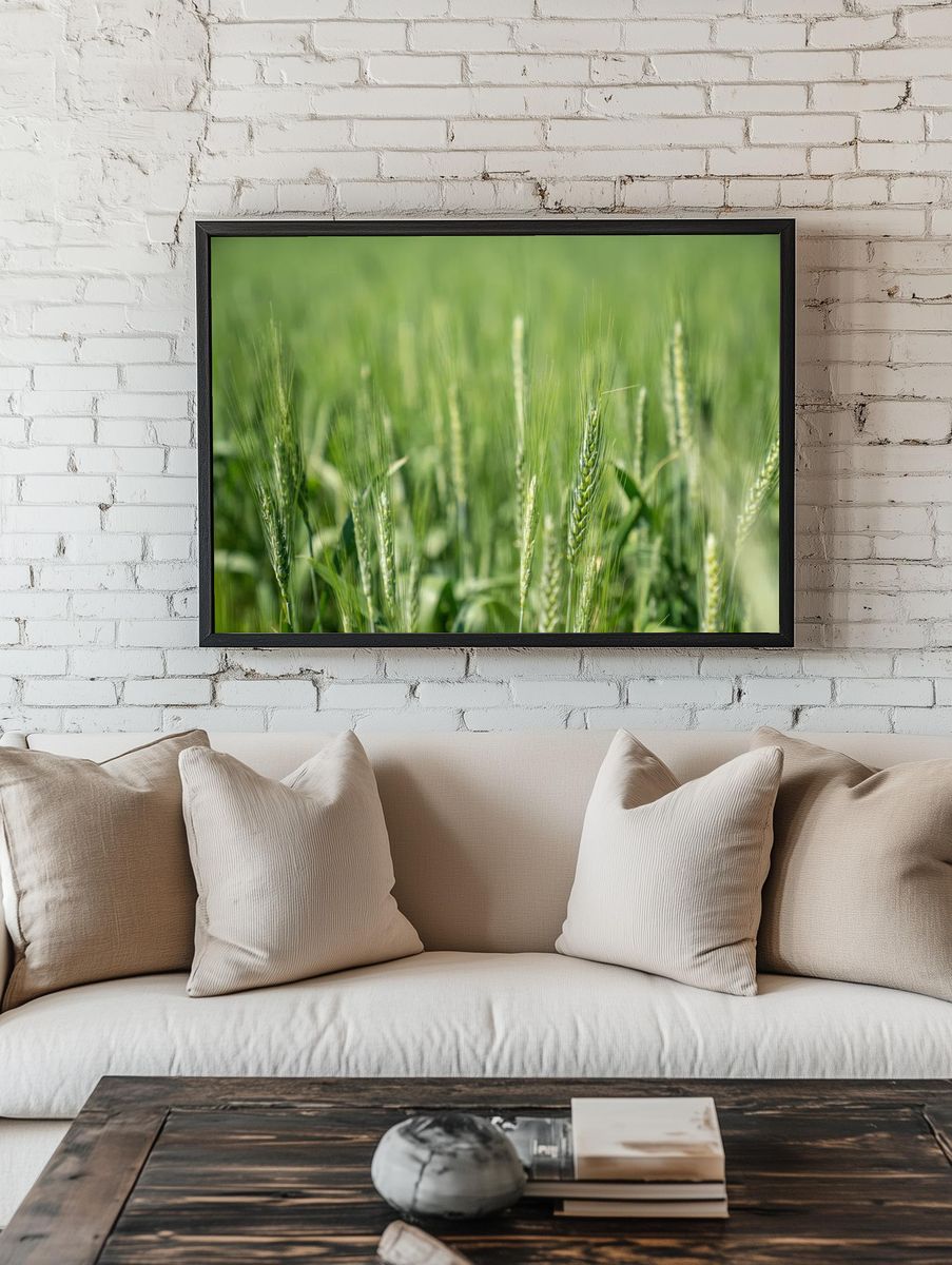 Wheat Field Close-Up — Nature Print. — room view 1