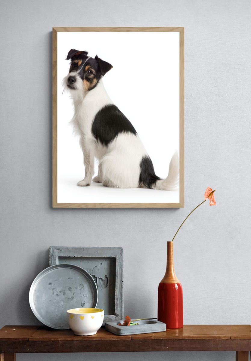 Wire Fox Terrier Portrait Poster. — room view 3