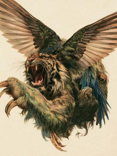 Winged Tiger Illustration Poster.