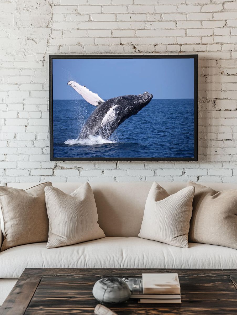 Humpback Whale Breaching — Nature Photography Print room preview