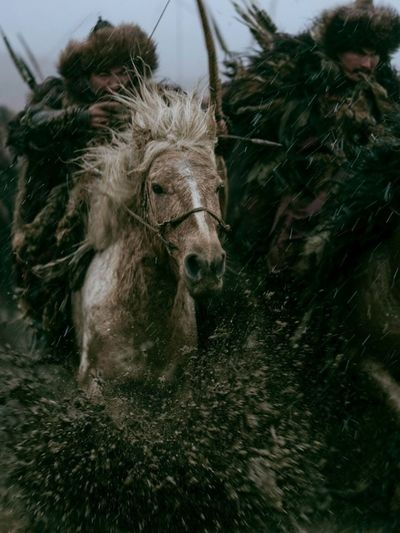 Wild Horse Charge Photography Poster. poster