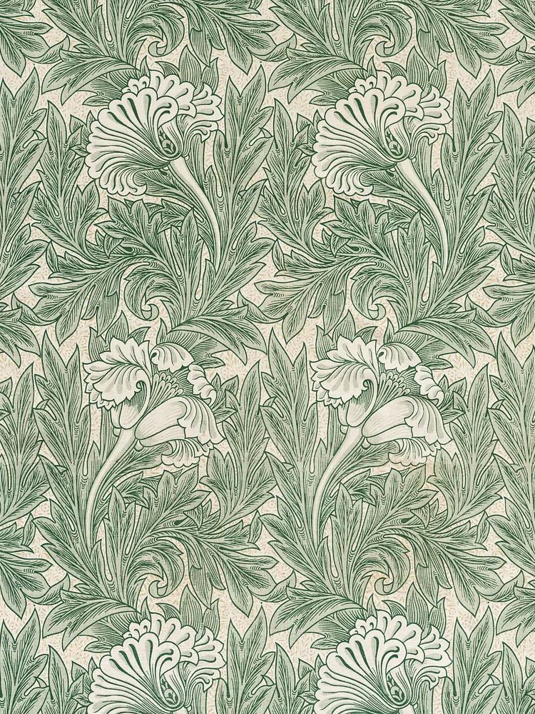 Green Tulip by William Morris — Vintage Print. poster — botanical art