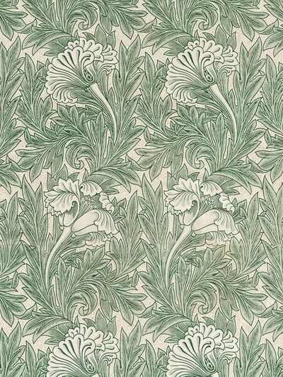 Green Tulip by William Morris — Vintage Print. poster print
