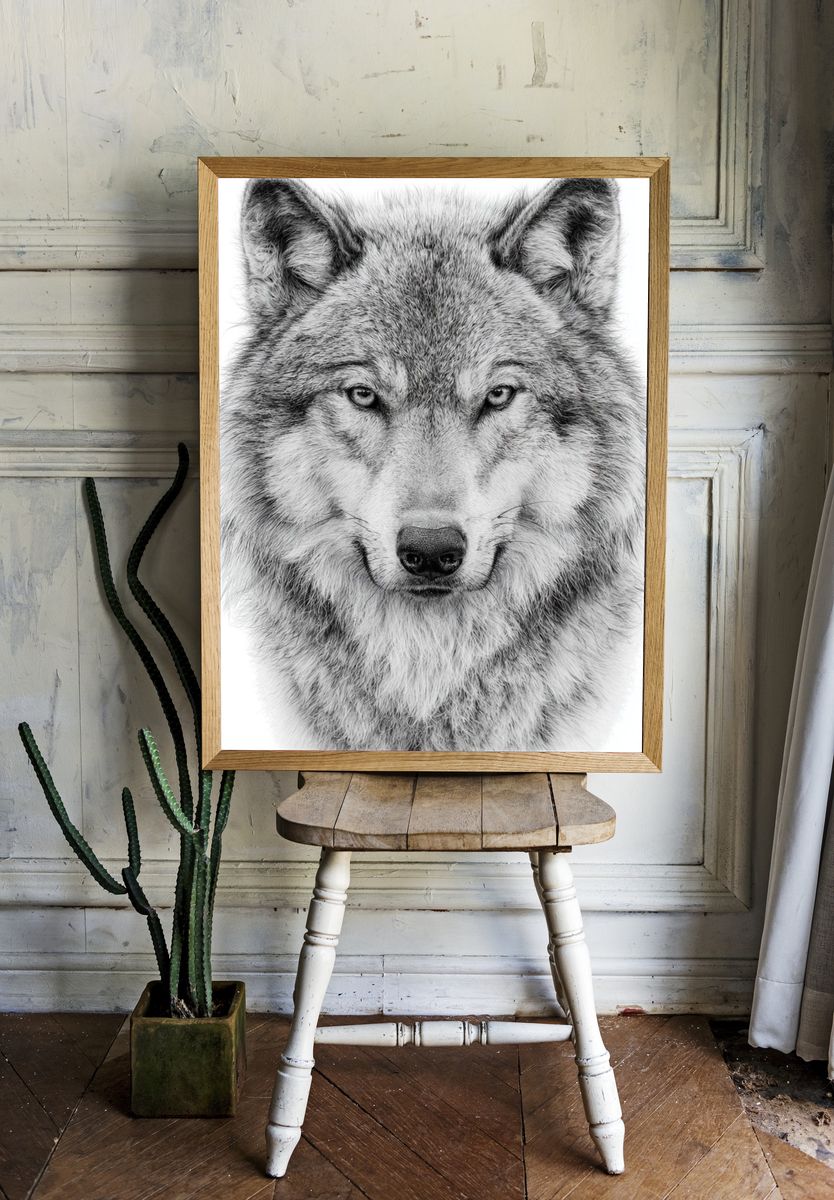 Wolf Portrait Black-White Poster. — room view 1