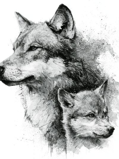 Wolf Duo Ink Poster. poster