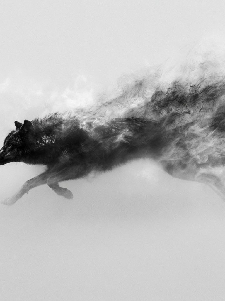 Running Wolf Black-White Poster. poster — animals art
