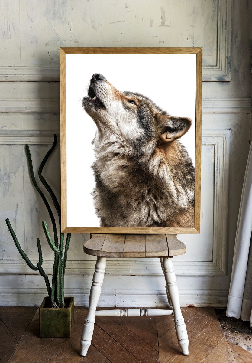 Howling Wolf — Animal Print room preview