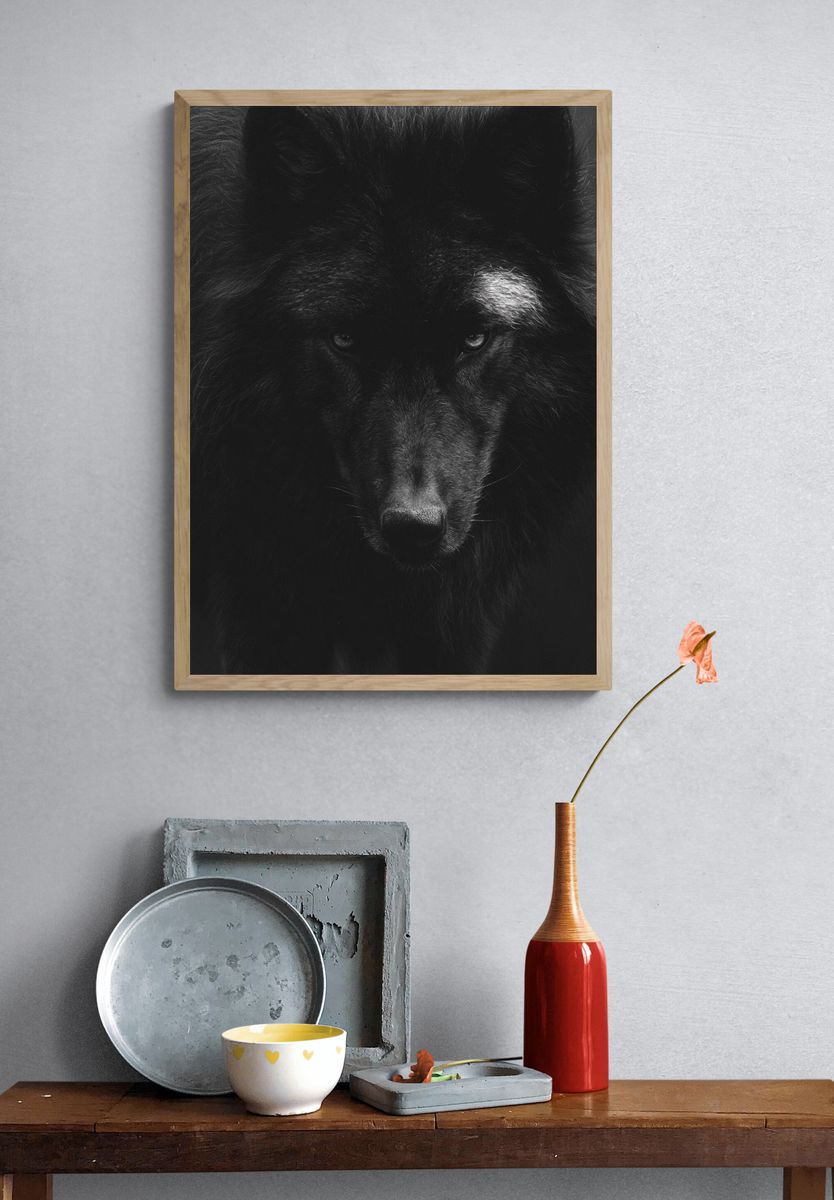 Black Wolf Portrait Print. — room view 3