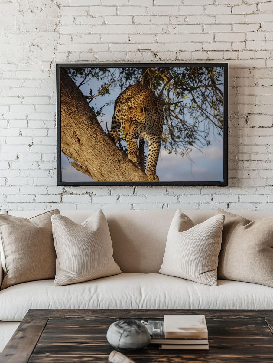 Leopard in a Tree — Wildlife Photography Print room preview