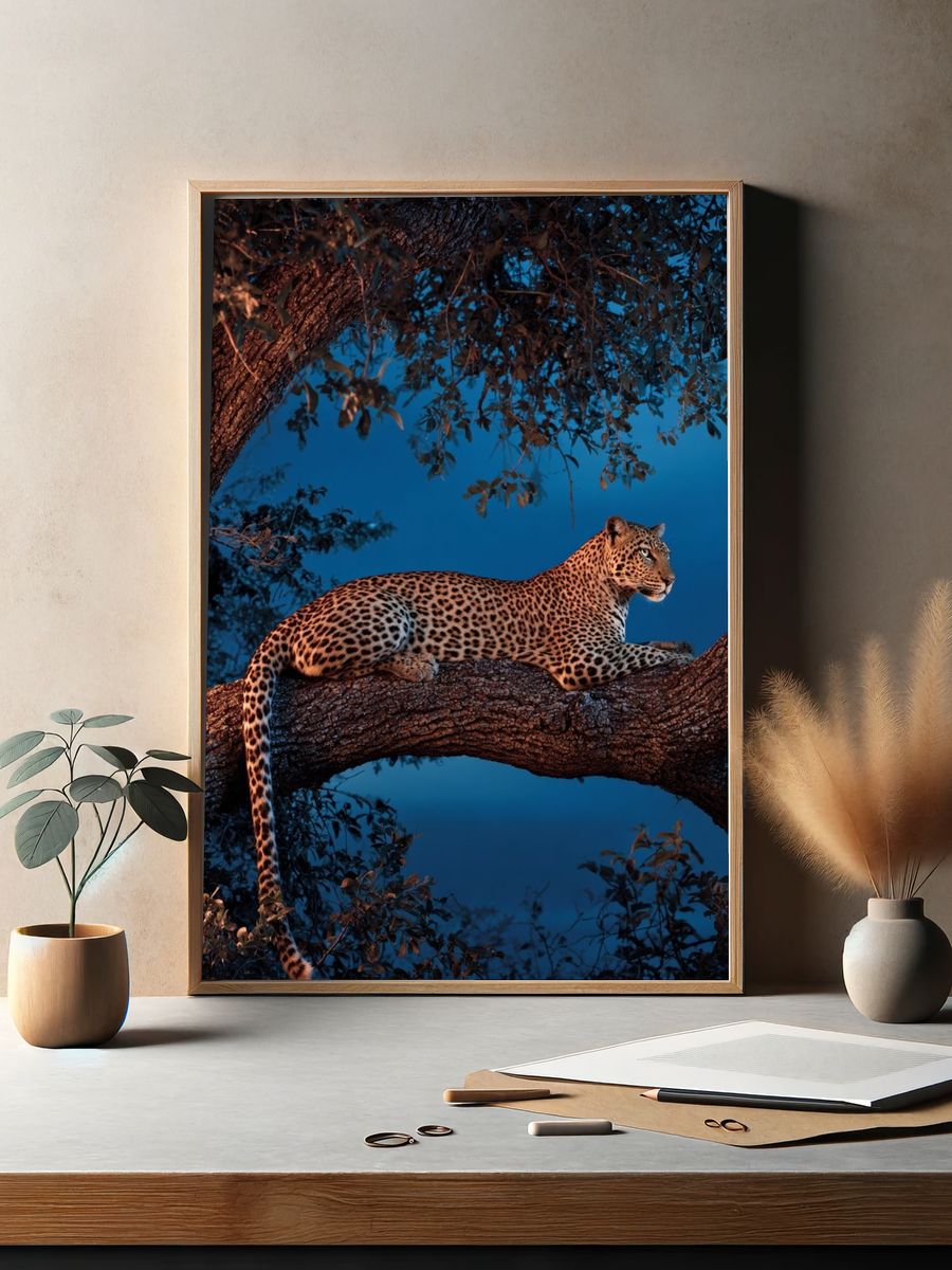 Leopard in a Tree — Wildlife Photography Poster. — room view 2