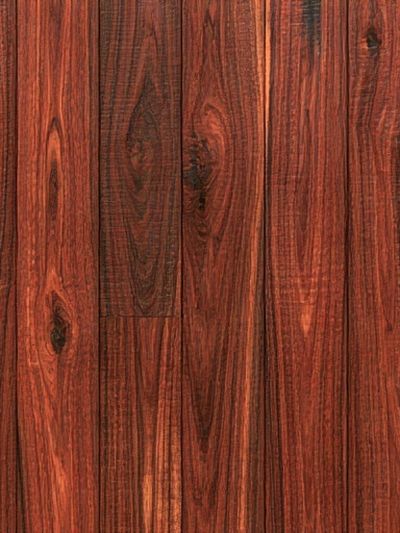 Red Wood Grain Texture Poster. poster