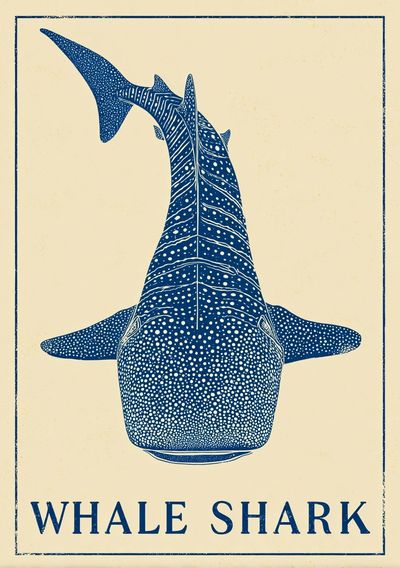 Whale Shark — Vintage Print. poster