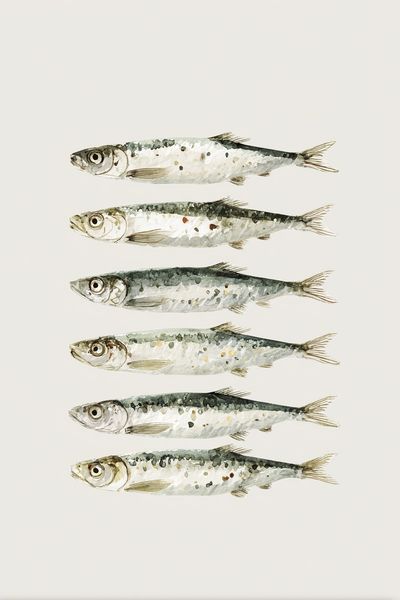 Watercolor Sardines Poster. poster print