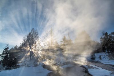 Winter Sunrise — Nature Poster.