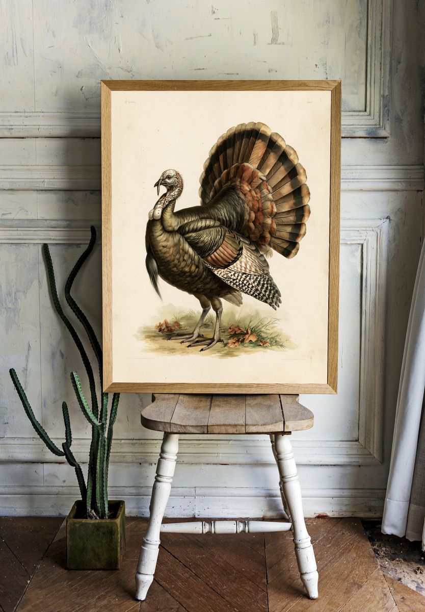 Wild Turkey Vintage Illustration Poster. — room view 1