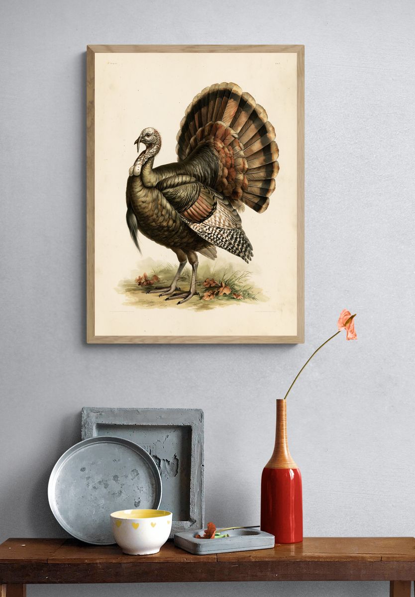 Wild Turkey Vintage Illustration Poster. — room view 3