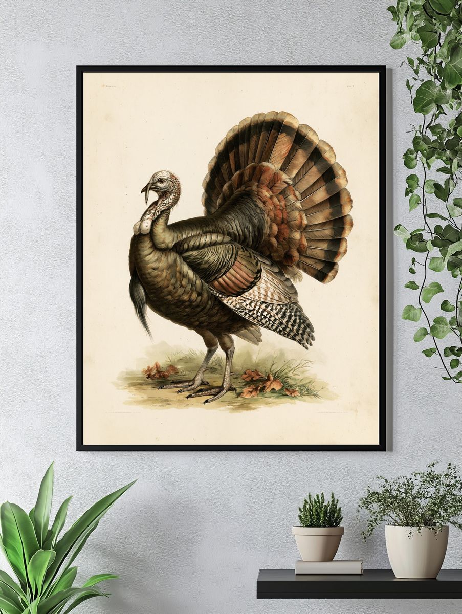 Wild Turkey Vintage Illustration Poster. — room view 4