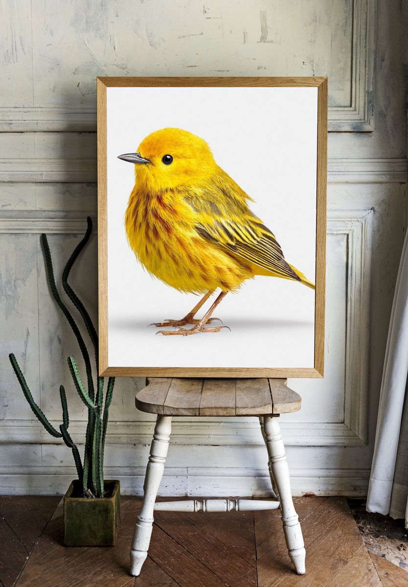 Yellow Bird — Illustration Print room preview