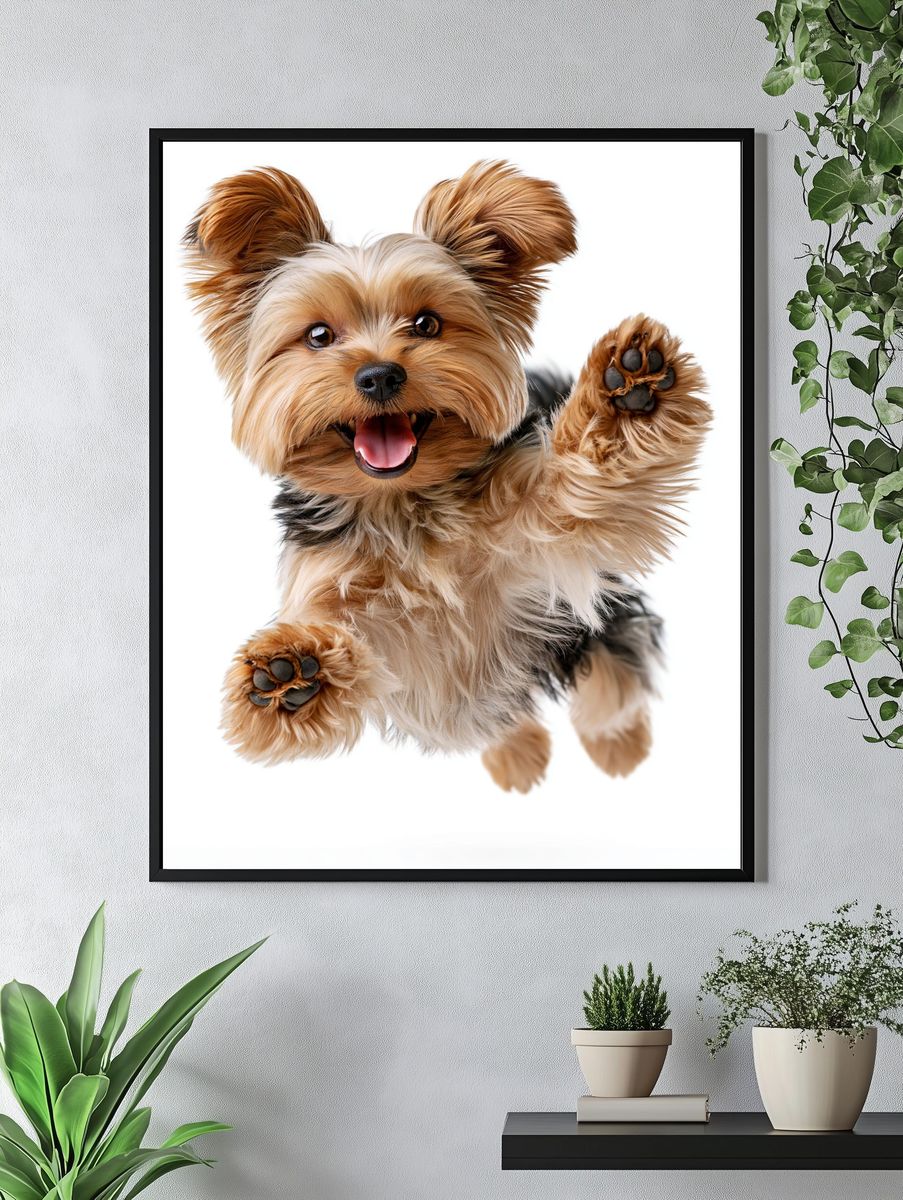 Playful Yorkshire Terrier Photography Poster. — room view 4