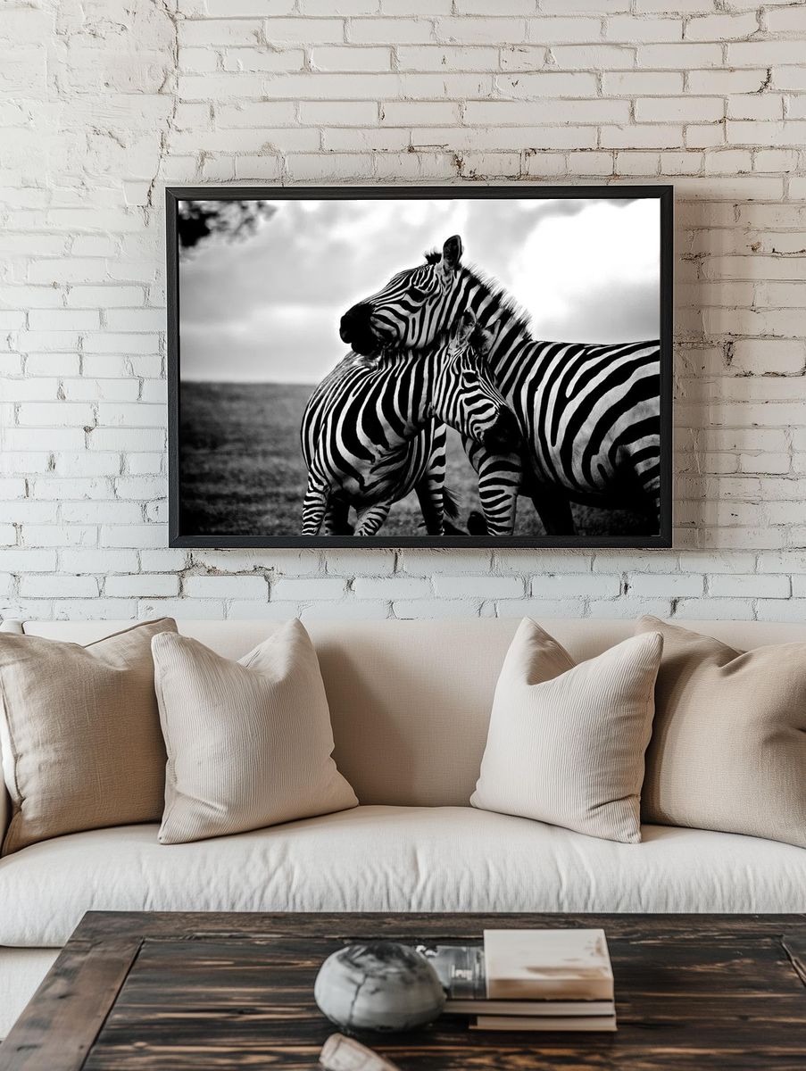 Zebras in Love — Black-White Print room preview