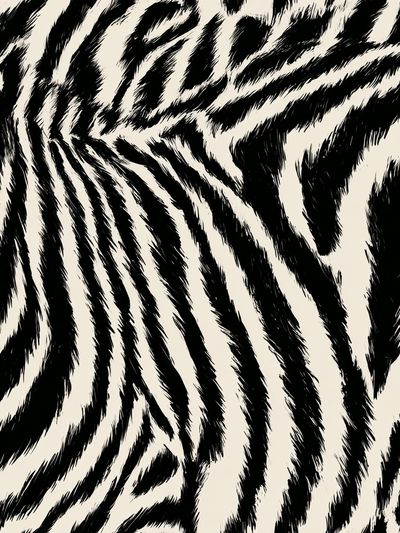 Zebra Stripe Pattern Print.