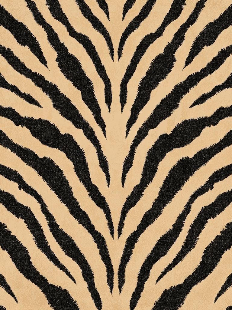 Zebra Stripes Abstract Print.