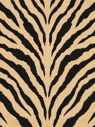 Zebra Stripes Abstract Print. poster